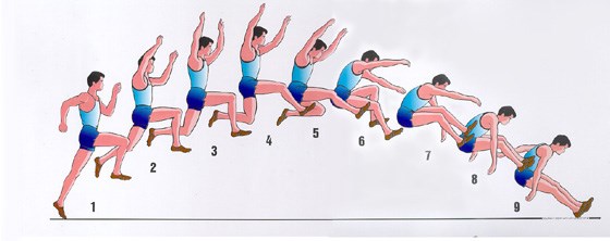 THPT Nguyễn Văn Cừ - Nội dung nhảy xa (bật xa tại chỗ) - Thể dục k11
