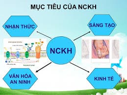 Kế hoạch tổ chức cuộc thi Khoa học kỹ thuật năm học 2019-2020