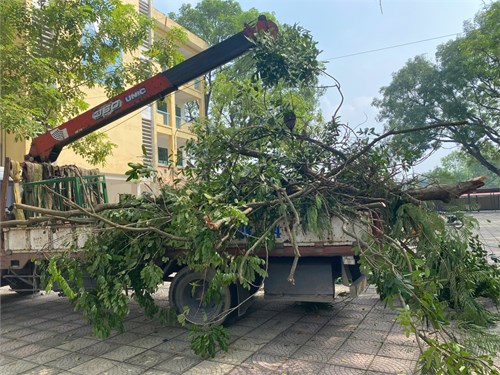 Trường THPT Liên Hà tăng cường công tác đảm bảo an toàn sau bão.